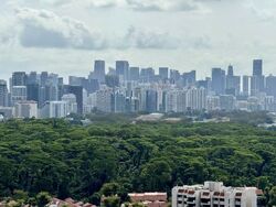 D'Leedon (D10), Condominium #460982111